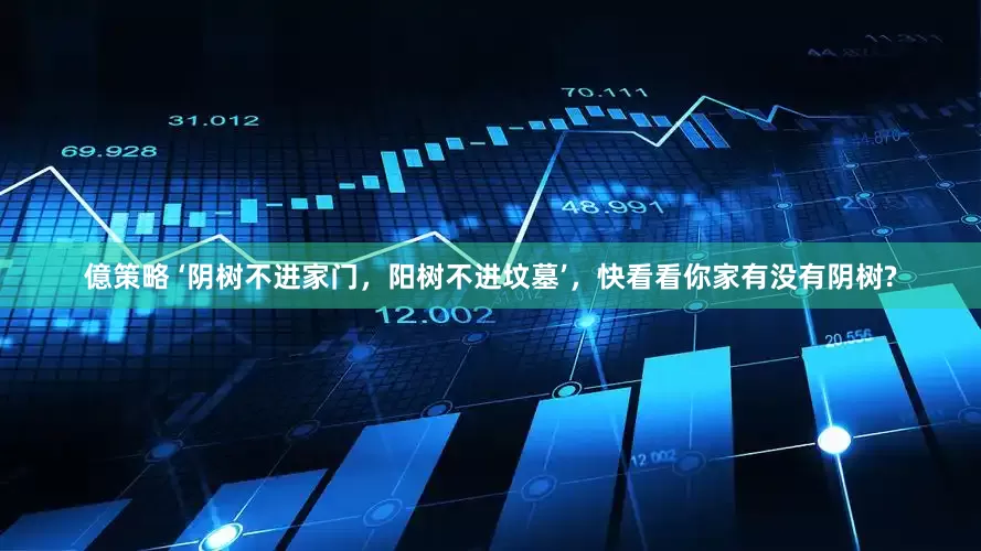 億策略 ‘阴树不进家门，阳树不进坟墓’，快看看你家有没有阴树?