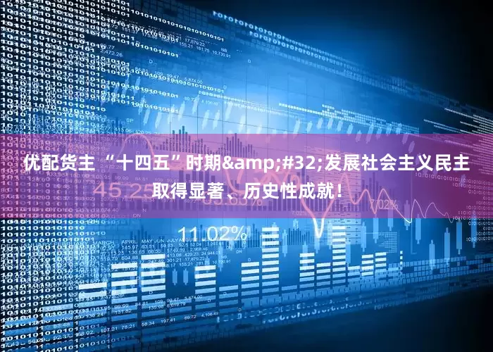 优配货主 “十四五”时期&#32;发展社会主义民主取得显著、历史性成就！