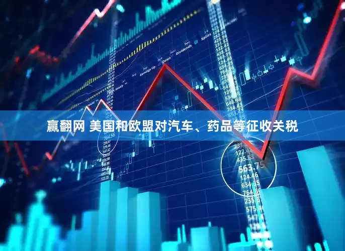 赢翻网 美国和欧盟对汽车、药品等征收关税